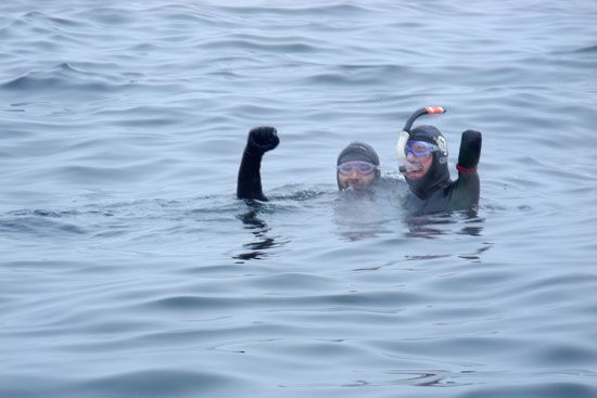 سباح فرنسي مبتور الاطراف يسبح في مضيق بيرنج من أمريكا إلى روسيا رياضة صحيفة الوسط البحرينية