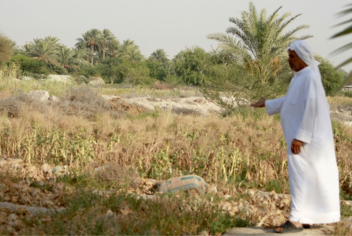 مزارع بحريني يشكو تعرض محاصيل مزرعته إلى التلف نتيجة نقص المياه المعالجة التي تضخّها محطة توبلي إلى المزارع