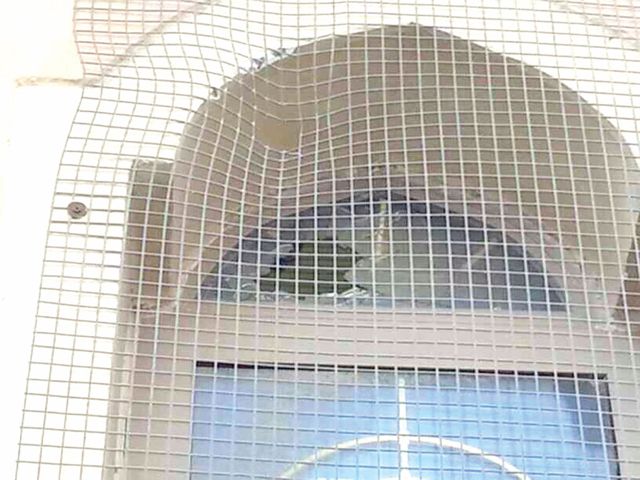 آثار طلق مسيل الدموع على مسجد الإمام الرضا (ع) في المعامير