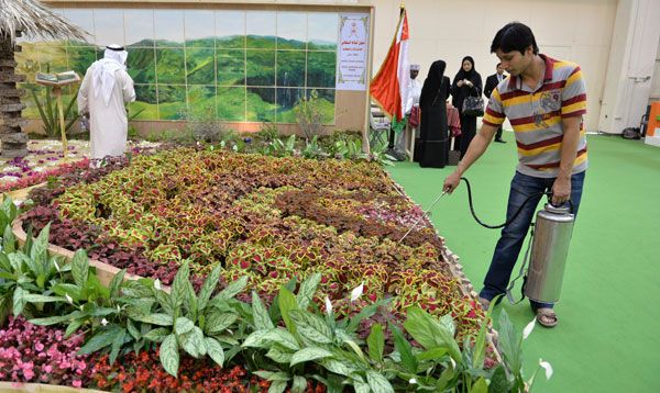 تصوير: أحمد آل حيدر