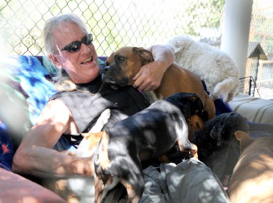 توني والترز يداعب مجموعة من الكلاب في الملجأ المخصص للحيوانات الأليفة