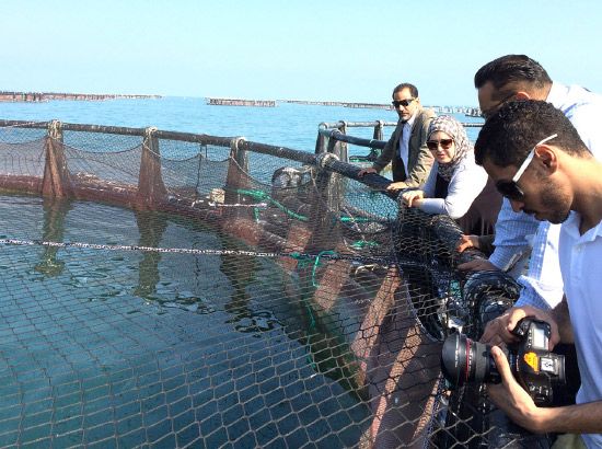 عدد من وسائل الإعلام وأعضاء مجلس إدارة شركة «أسماك» خلال اطلاعهم على عملية إطعام صغار الأسماك