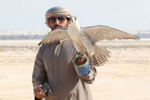 ناصر بن حمد يؤكد على حرص ملاك الصقور لتطوير البطولة في المراحل القادمة