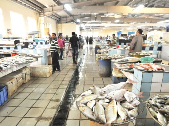 أسعار الأسماك شهدت ارتفاعاً أمس