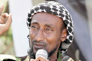 محمد محمود