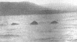 	أوّل صورة للوحش المزعوم عام 1933 التقطت من قبل 