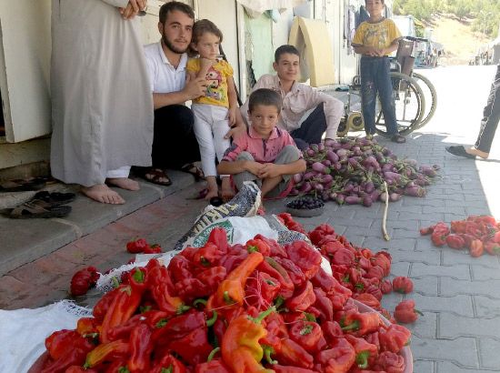 عائلة سورية تُجفف الخضراوات لبيعها لاحقا