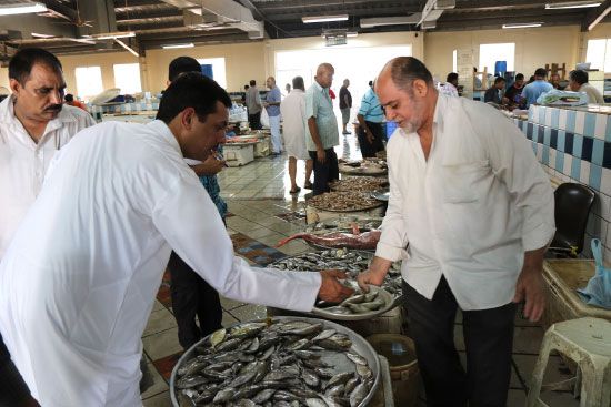 مواطن يعاين سمك الصافي لدى البائع فؤاد جاسم أمس