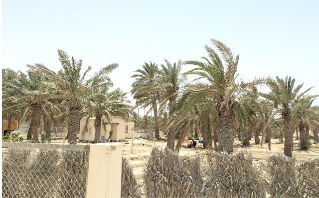 موقع مزرعة وعين ريا التاريخية والأثرية بمنطقة سماهيج