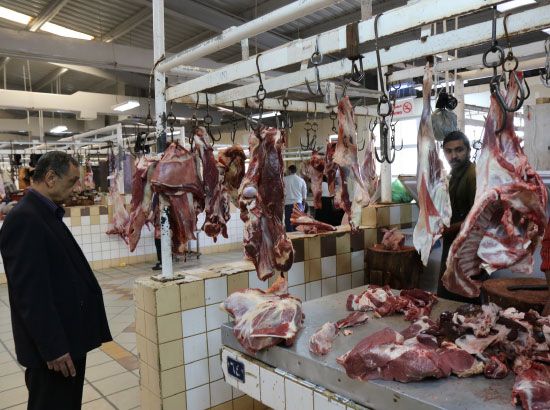 حضرت اللحوم وغاب الزبائن في سوق المنامة المركزي