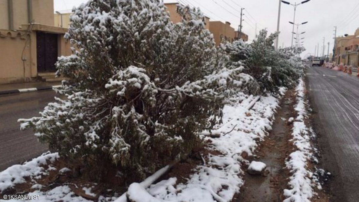 الثلوج تساقطت بكثافة على مدن شمال السعودية