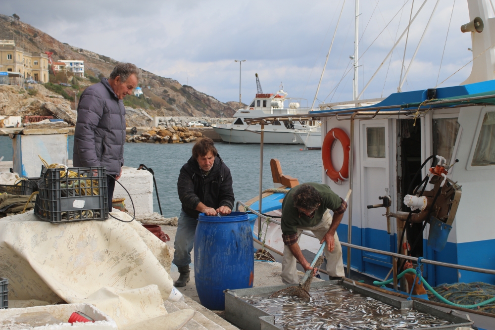  الصياد نيكوس أفايانيس (في الوسط) يضع الملح على السردين لاستخدامه كطُعم. ويقول: 
