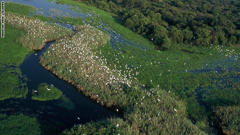 تعتبر محمية نيلسفلي الطبيعية من بين أحد أهم مواطن الطيور وأكثرها كثافة في أفريقيا الجنوبية.