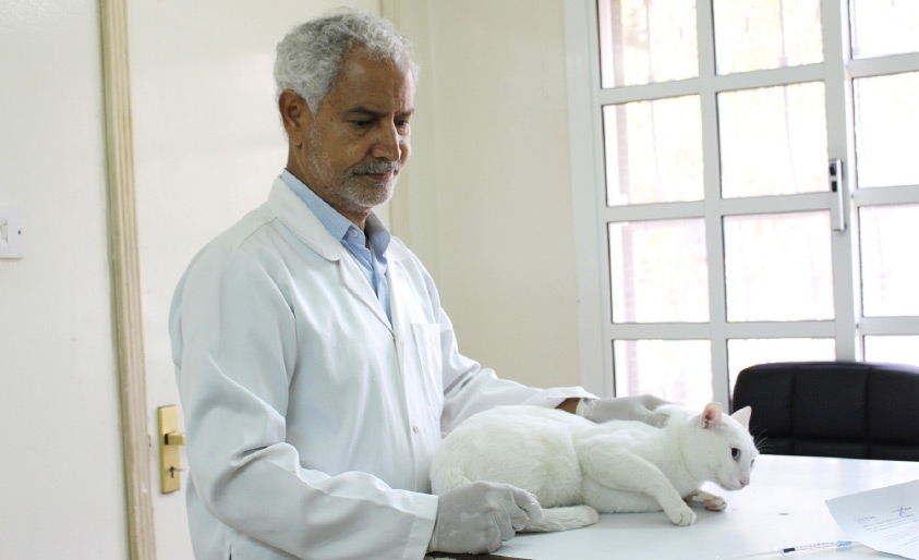 ﻿الطبيب البيطري جعفر الإسكافي يعاين قطة