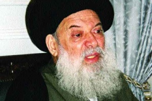 السيد محمد حسين فضل الله