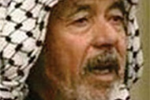 علي حسن المجيد (الكيماوي)