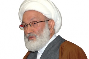 قاسم: الذين ترتفع أصواتهم دائما ضد المعارضة يتبعون عصبية عمياء