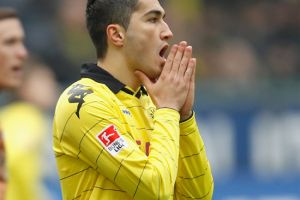 انتهاء موسم شاهين