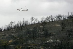 28 قتيلا بتحطم طائرة في بوازيا غينيا الجديدة