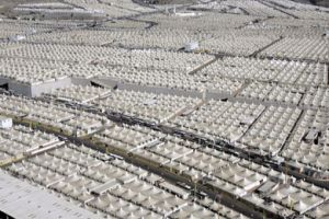 حجاج بيت الله يتدفقون على مشعر منى في يوم التروية