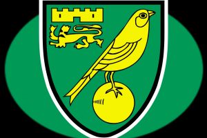 نورويتش سيتي يضم هاوسون نجم ليدز يونايتد