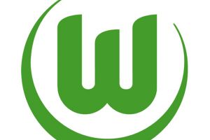 فولفسبورغ يحطم الرقم القياسي بإشراك 36 لاعبا في موسم واحد