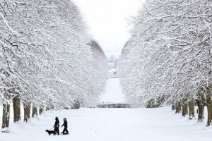 حوالى 500 قتيل في موجة البرد في أوروبا