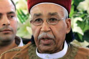 أحمد الزبير السنوسي