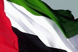 دولة الامارات توقف عمل بعض المؤسسات الأجنبية لمخالفتها شروط التراخيص