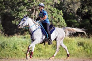 فهد سليمان يحقق المركز الأول في سباق استراليا للقدرة 