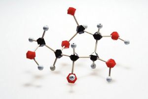 فحص ستة آلاف طالب وطالبة من 15 مدرسة عن أمراض الدم الوراثية