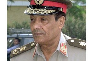 محمد حسين طنطاوي