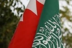 'النواب' يستنكر التدخلات الإيرانية السافرة