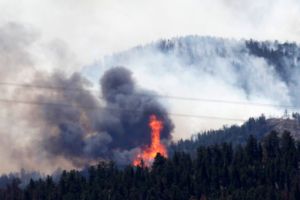 تغير المناخ يزيد حرائق الغابات في غرب الولايات المتحدة 