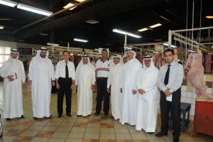 طرح 1043 رأس غنم و400 من الأبقار في السوق غداً الجمعة