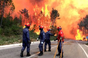 السيطرة على حريق الغابات الذي أودى بحياة رجل إطفاء في البرتغال 