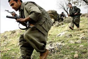 المقاتلون الاكراد يطلقون سراح نائب تركي