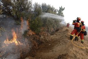 حرائق الغابات تدمر 50 مبنى في شمال كاليفورنيا 