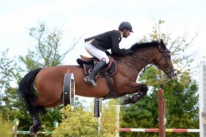 الفارس حسن بن راشد آل خليفة سادس بطولة فرنسا لقفز الحواجز