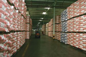 السعودية تشتري 575 ألف طن من القمح الصلد 