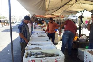 ارتفاع بأسعار الأسماك واستقرار بالفاكهة بالأسواق المحلية .. شاهد الصور