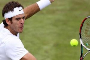 دل بوترو يرافق تيبسارفيتش إلى المربع الذهبي لبطولة فيينا للتنس