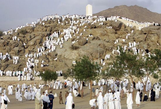 ضيوف الرحمن يؤدون الركن الأعظم بوقوفهم في عرفة اليوم- (أرشيفية)