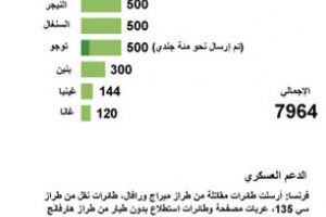 الجنود الماليون والفرنسيون يستعيدون مدينة ديابالي من الاسلاميين