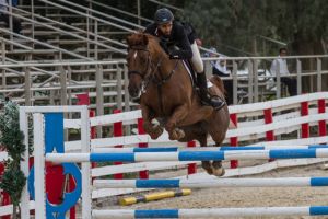 الفرسان: المنافسة كانت قوية ونتطلع إلى الجولة الأخيرة 