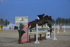 العلوي: منافسة قوية على الالقاب.. والفرسان اثروا مسيرة اللعبة