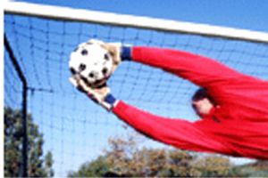 مينيوليه سيرفض الاستمرار مع سندرلاند