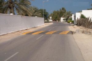 'الأشغال': لجنة المرتفعات تتسلم 304 طلبات لمرتفعات السرعة منذ بداية العام