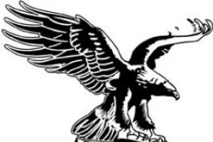 بشكتاش يجتاز بورصا سبور وينفرد بصدارة الدوري التركي