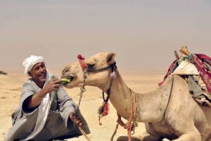 علاقة العربي بالأبل ...مهددة بالانفصال